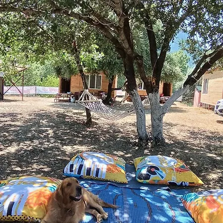Campismo de Luxo Es&es Camping Ve Bungalov
