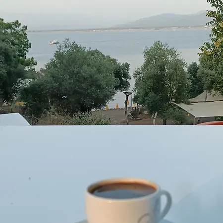 Es&es Ve